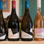 Vino pregiato da regalare: ecco i migliori vini siciliani