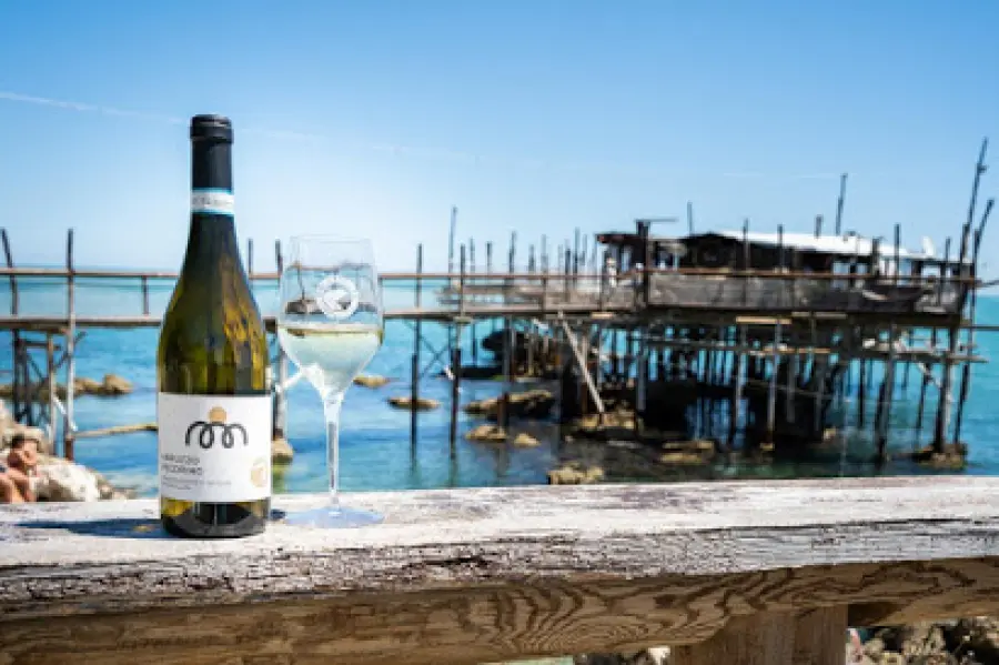 Vino Pecorino D'Abruzzo, storia e produttori