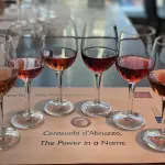 Vini abruzzesi: 7 migliori bottiglie da provare