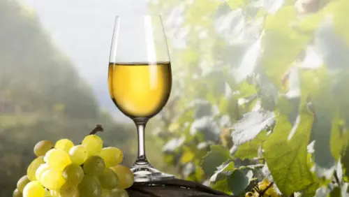 Vino Moscato di Terracina, che gusto ha e dove trovarlo?