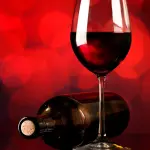 Quali sono i migliori vini bianchi del Lazio?